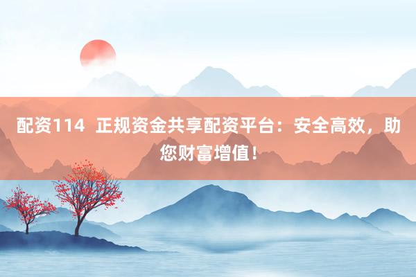 配资114  正规资金共享配资平台：安全高效，助您财富增值！