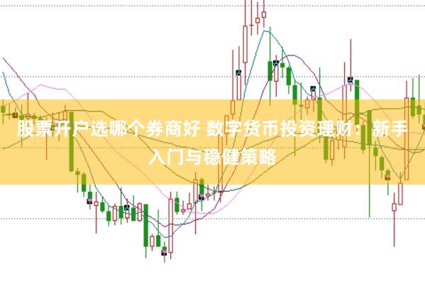 股票开户选哪个券商好 数字货币投资理财：新手入门与稳健策略