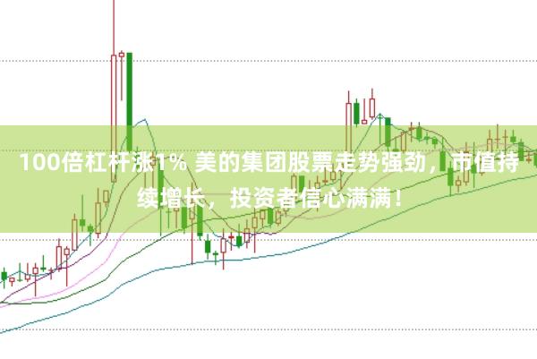 100倍杠杆涨1% 美的集团股票走势强劲，市值持续增长，投资者信心满满！