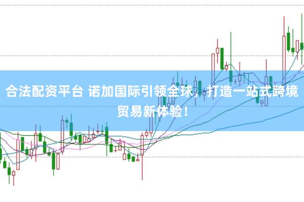 合法配资平台 诺加国际引领全球，打造一站式跨境贸易新体验！
