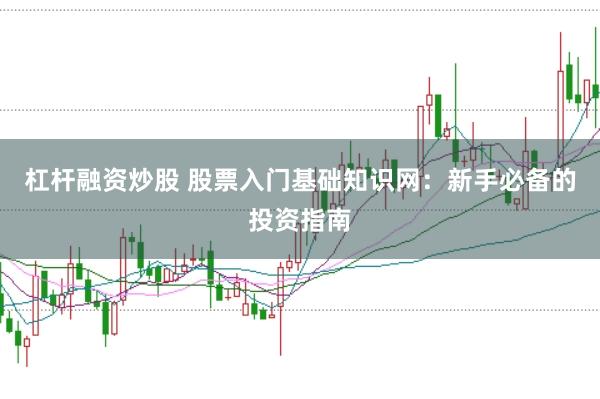 杠杆融资炒股 股票入门基础知识网：新手必备的投资指南