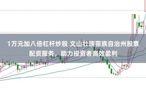 1万元加八倍杠杆炒股 文山壮族苗族自治州股票配资服务，助力投资者高效盈利