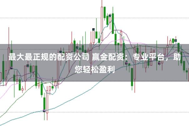 最大最正规的配资公司 赢金配资：专业平台，助您轻松盈利