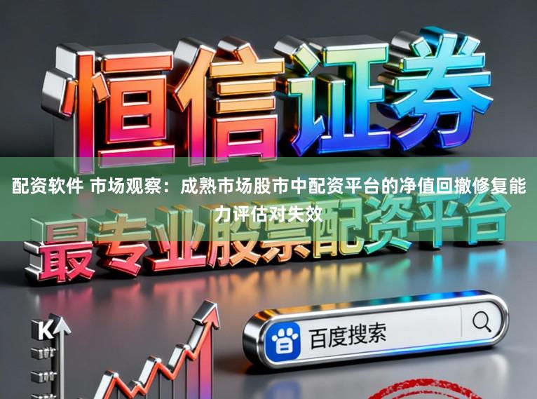配资软件 市场观察：成熟市场股市中配资平台的净值回撤修复能力评估对失效