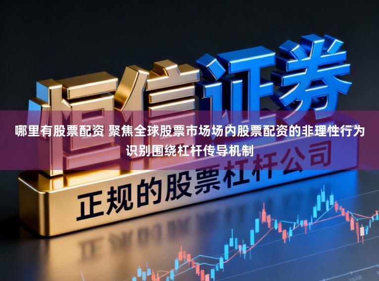 哪里有股票配资 聚焦全球股票市场场内股票配资的非理性行为识别围绕杠杆传导机制