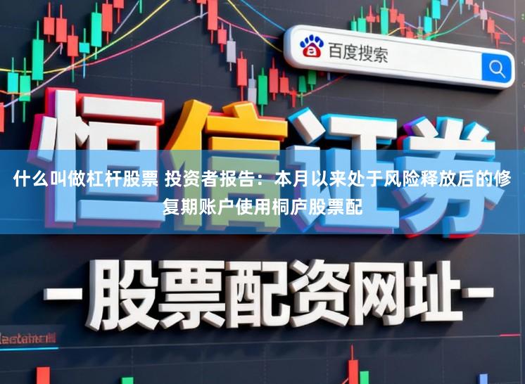 什么叫做杠杆股票 投资者报告：本月以来处于风险释放后的修复期账户使用桐庐股票配